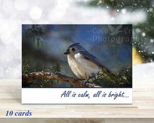 Original photography nature Christmas cards with a tufted titmouse available at Cove Creek Photography.